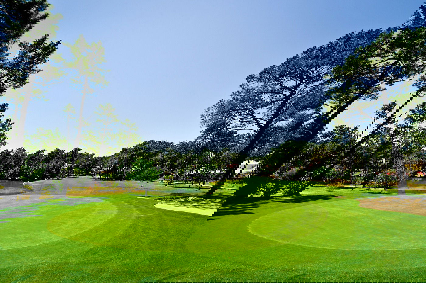 IGTM 2024, Lisbon 